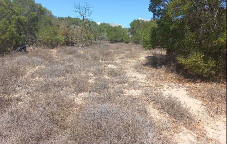 0 Bedroom Property for Sale in Shelley Point Western Cape